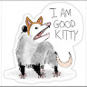 Meet your Posher, Teya